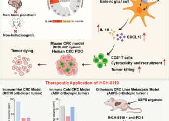 LSD Shows Anti-Cancer Potential in New Study — Without the Trip