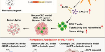 LSD Shows Anti-Cancer Potential in New Study — Without the Trip